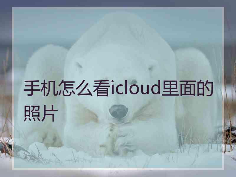 手机怎么看icloud里面的照片