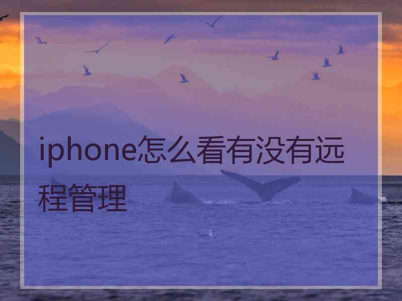 iphone怎么看有没有远程管理