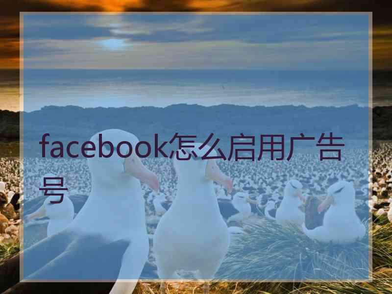 facebook怎么启用广告号