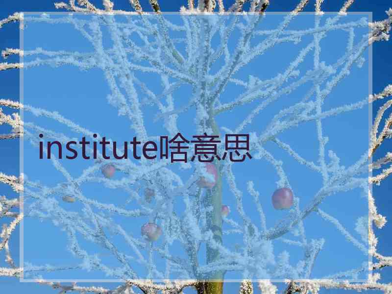 institute啥意思