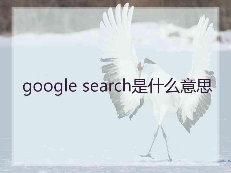 google search是什么意思