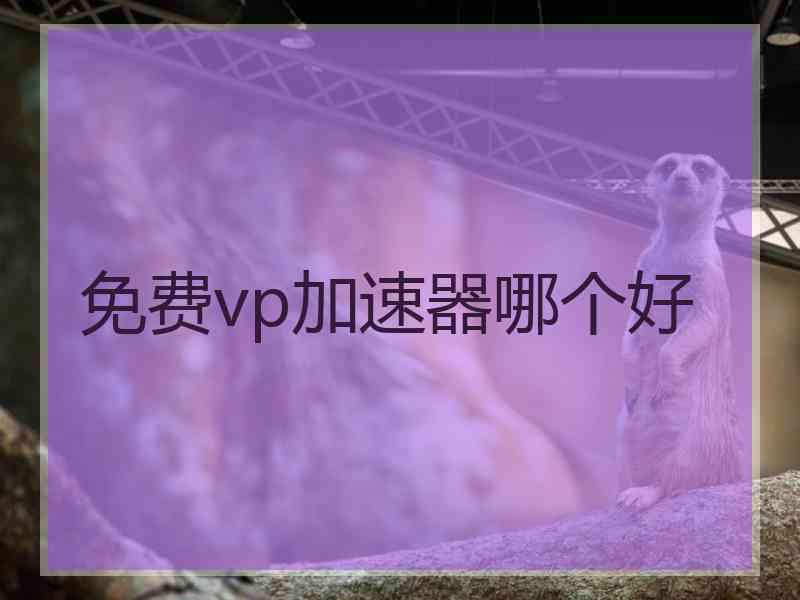 免费vp加速器哪个好