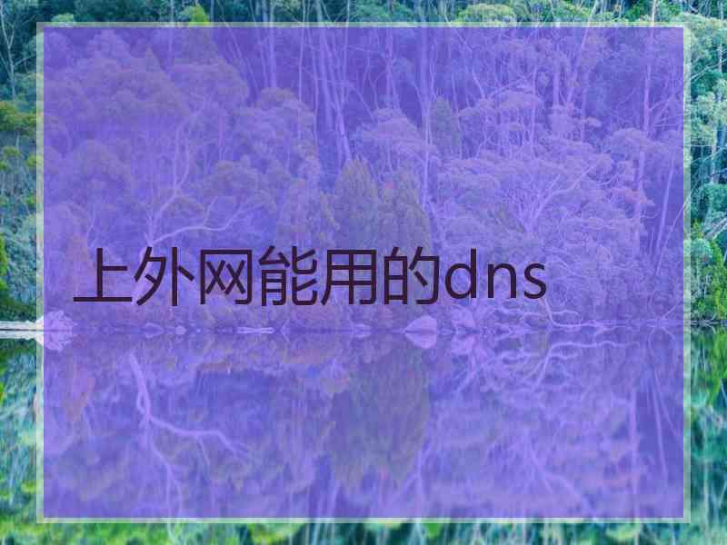 上外网能用的dns