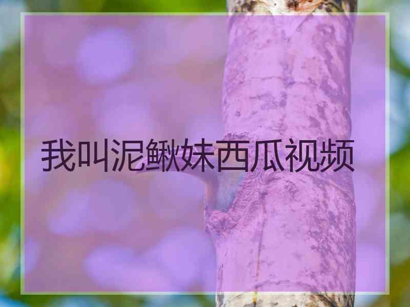 我叫泥鳅妹西瓜视频