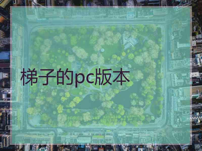 梯子的pc版本