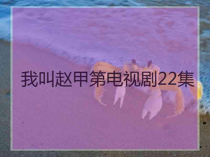 我叫赵甲第电视剧22集