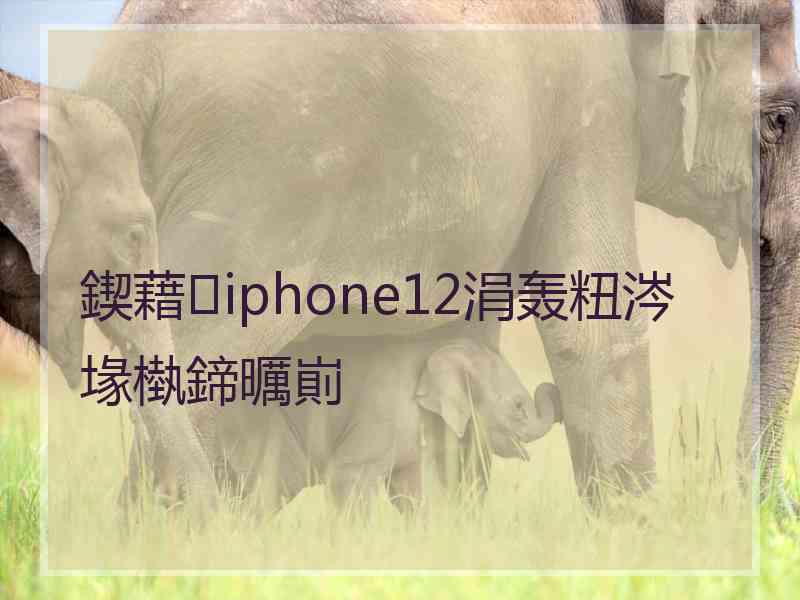 鍥藉iphone12涓轰粈涔堟槸鍗曞崱