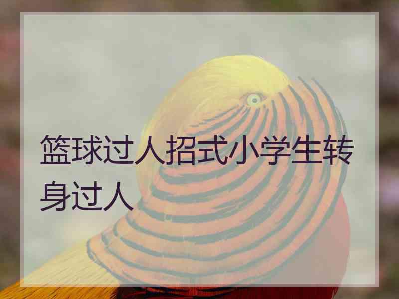 篮球过人招式小学生转身过人