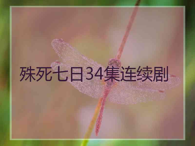 殊死七日34集连续剧