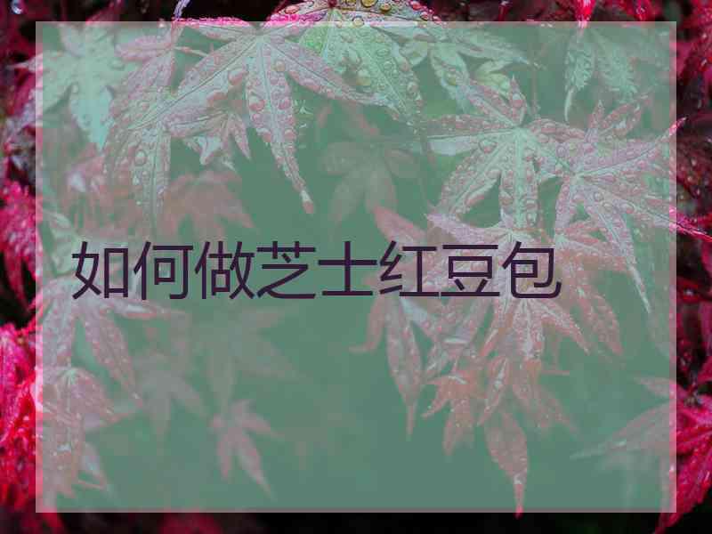 如何做芝士红豆包