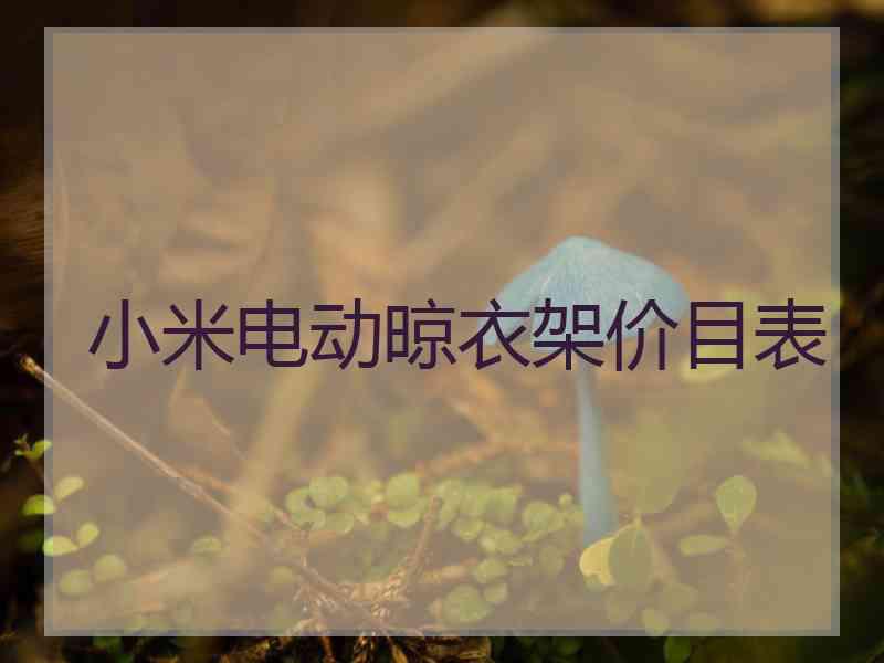 小米电动晾衣架价目表