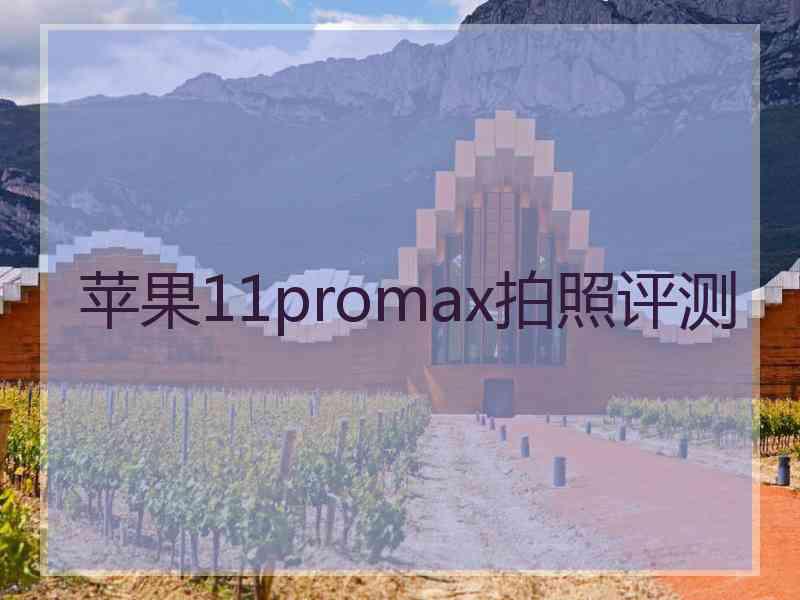 苹果11promax拍照评测