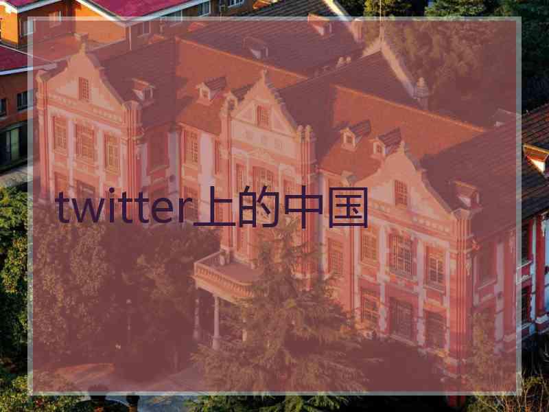 twitter上的中国