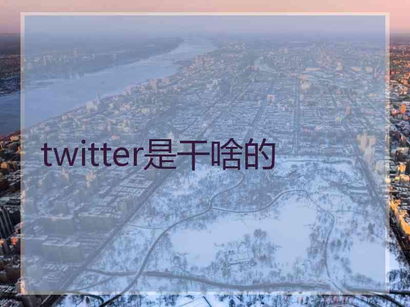 twitter是干啥的