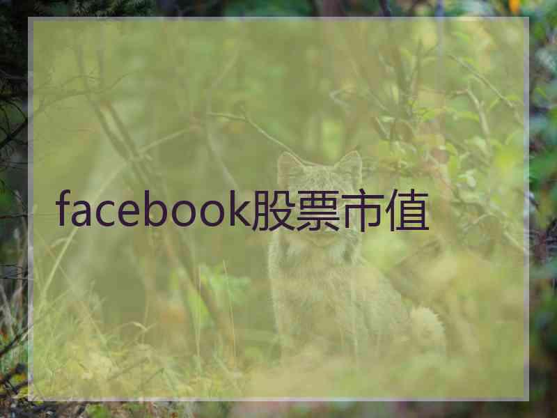 facebook股票市值