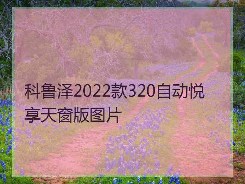 科鲁泽2022款320自动悦享天窗版图片