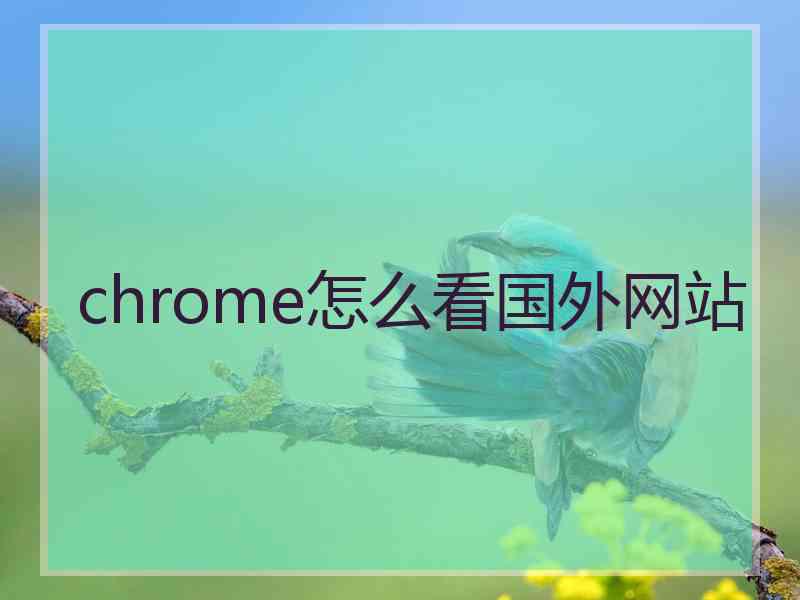 chrome怎么看国外网站