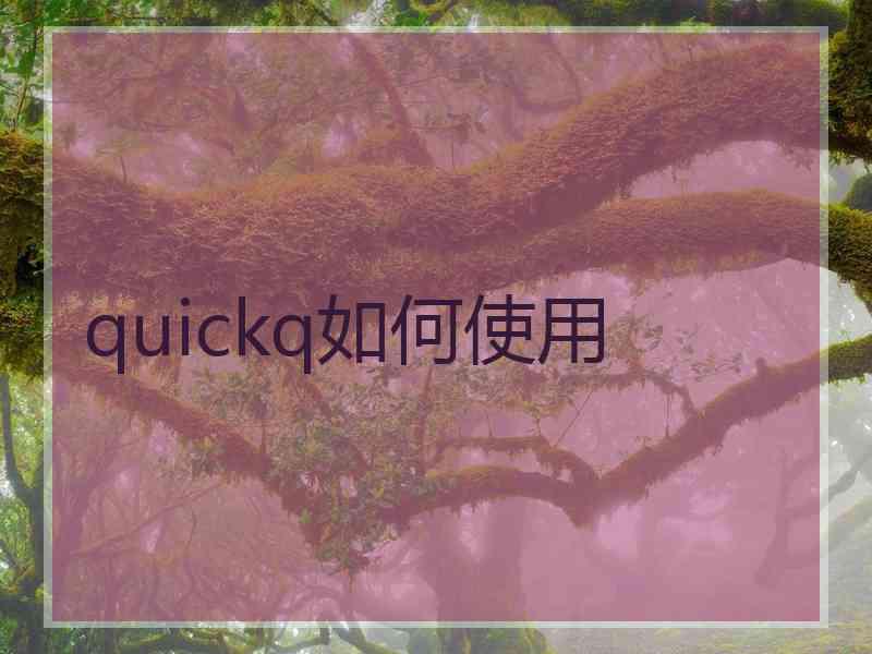 quickq如何使用