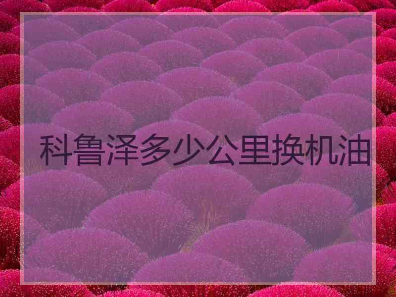 科鲁泽多少公里换机油