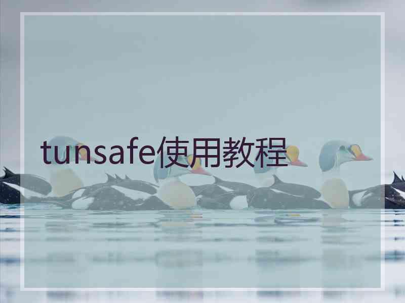 tunsafe使用教程