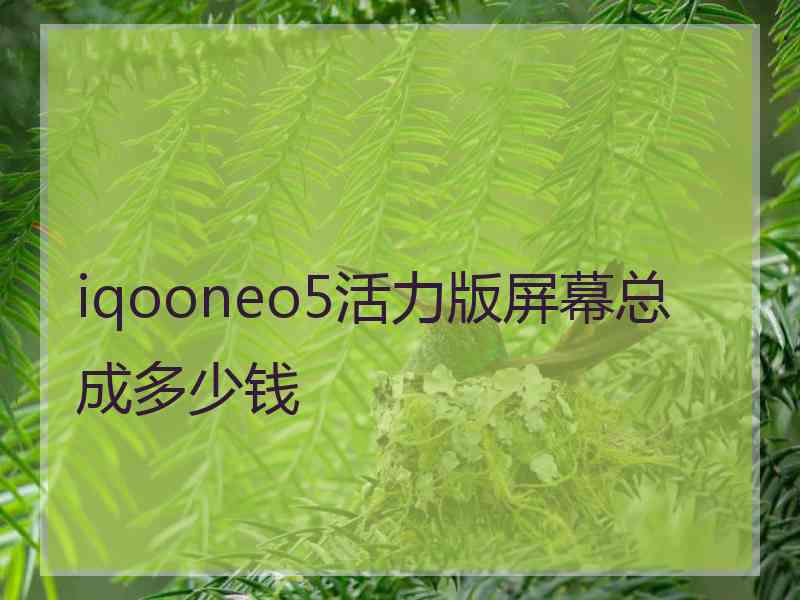 iqooneo5活力版屏幕总成多少钱