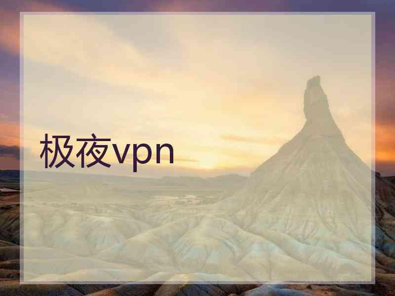 极夜vpn