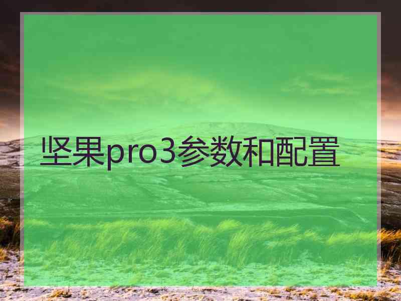 坚果pro3参数和配置