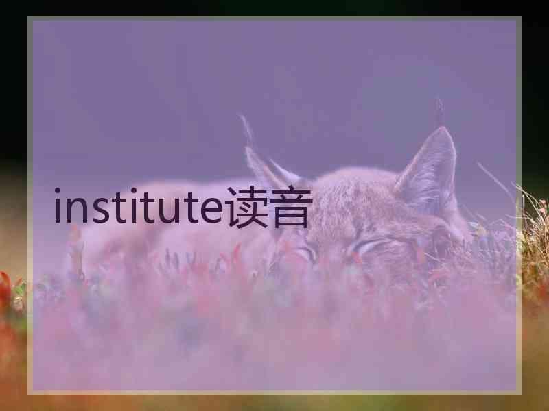 institute读音