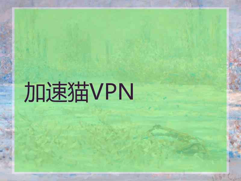 加速猫VPN