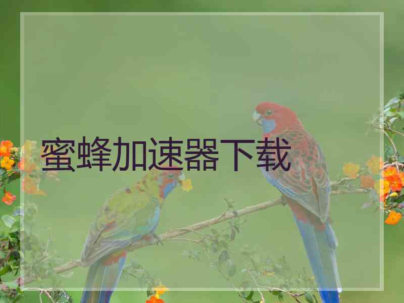 蜜蜂加速器下载