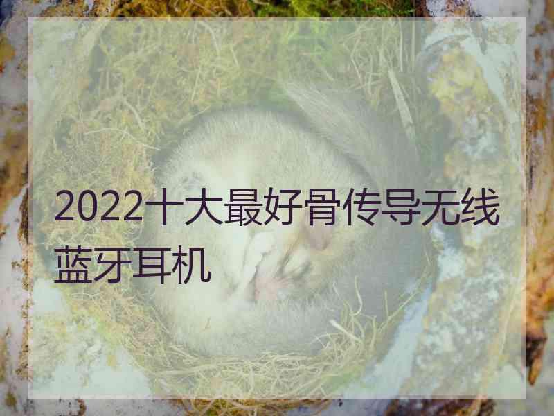 2022十大最好骨传导无线蓝牙耳机