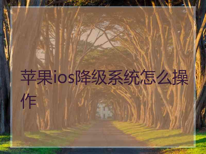 苹果ios降级系统怎么操作