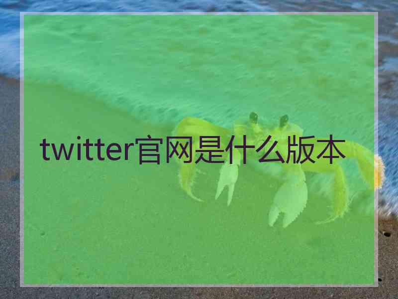 twitter官网是什么版本