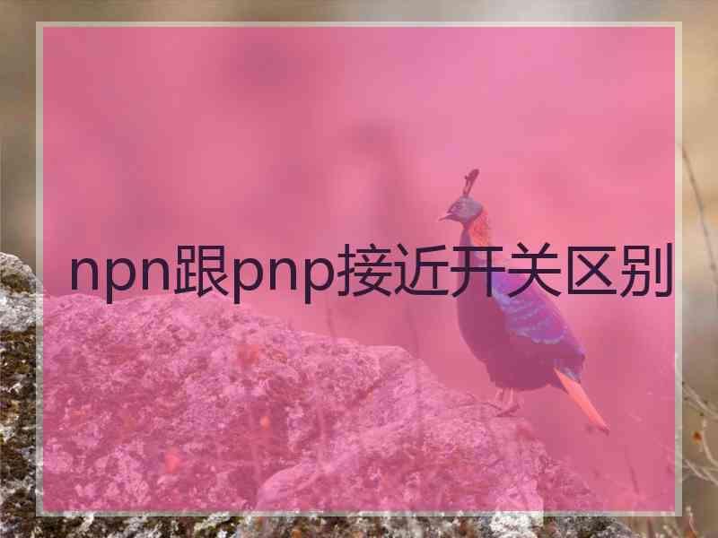 npn跟pnp接近开关区别