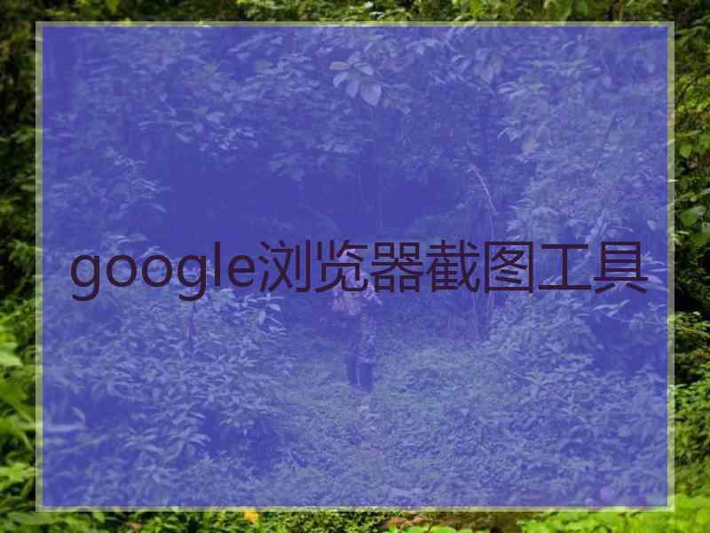 google浏览器截图工具