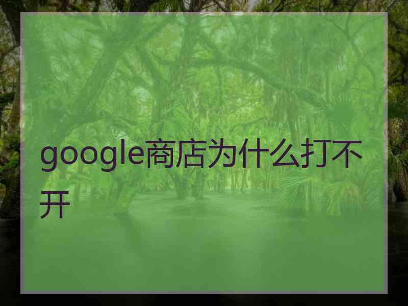 google商店为什么打不开