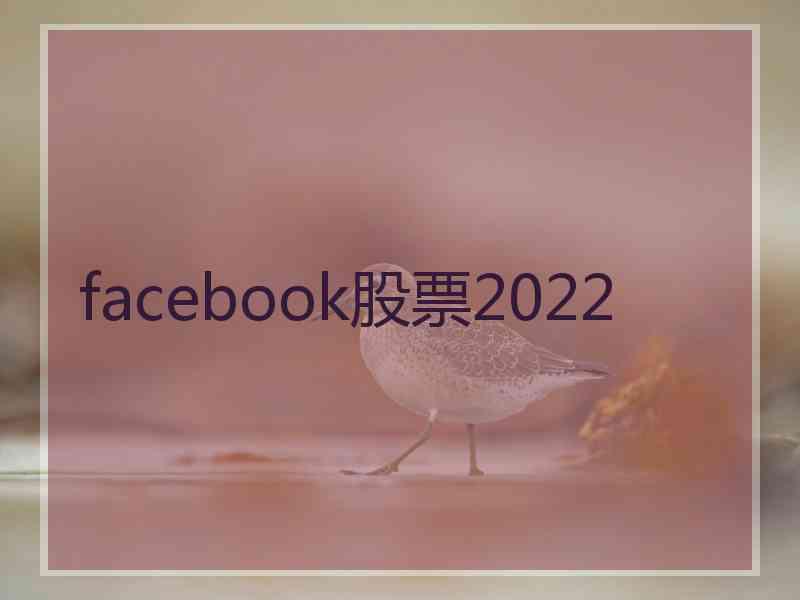 facebook股票2022