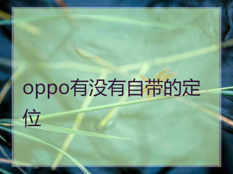 oppo有没有自带的定位