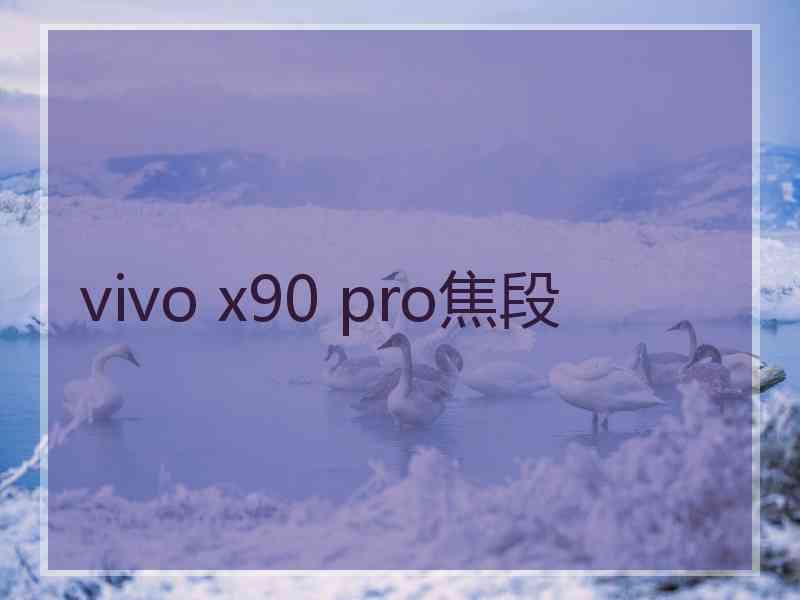 vivo x90 pro焦段