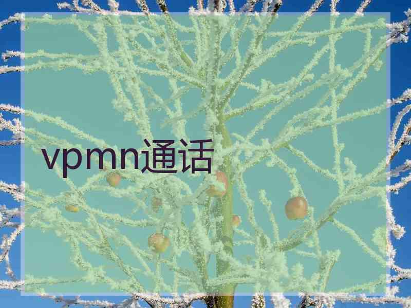 vpmn通话