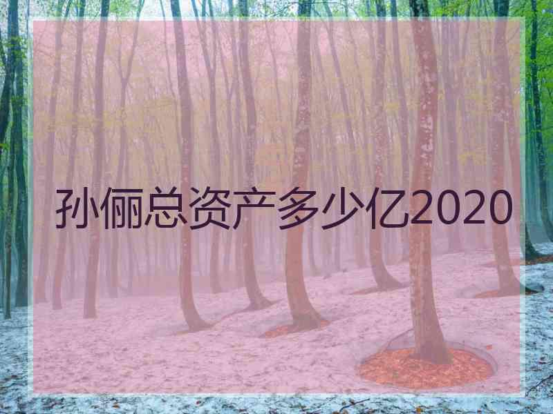 孙俪总资产多少亿2020