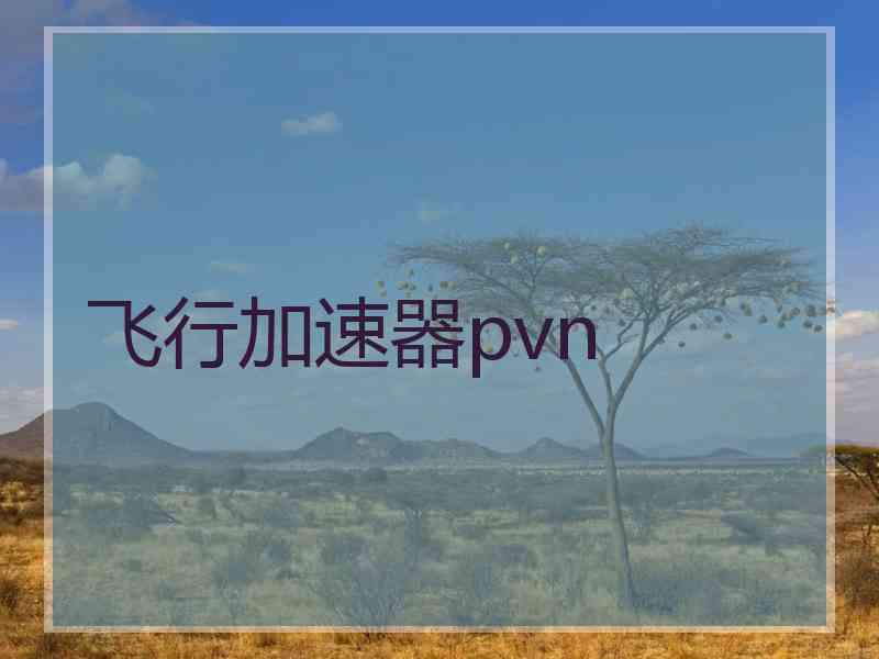 飞行加速器pvn