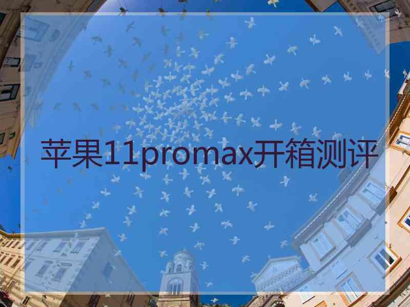 苹果11promax开箱测评