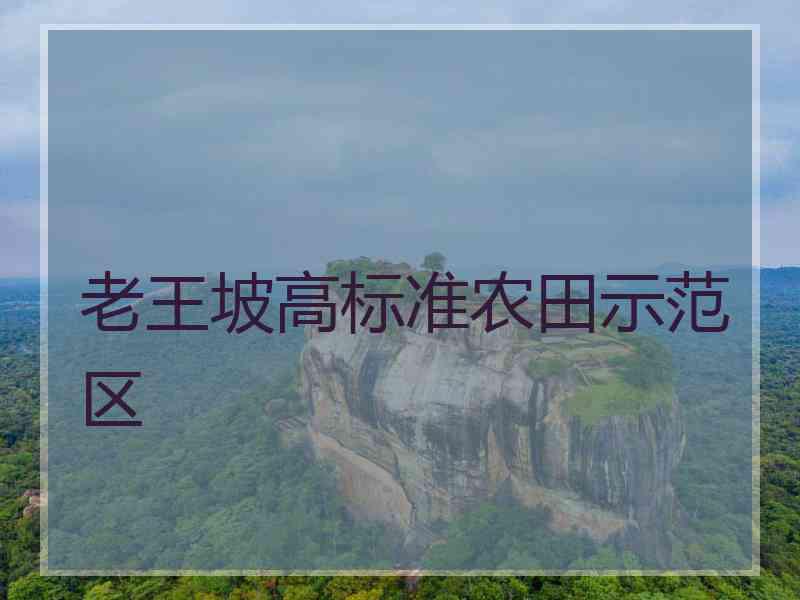 老王坡高标准农田示范区