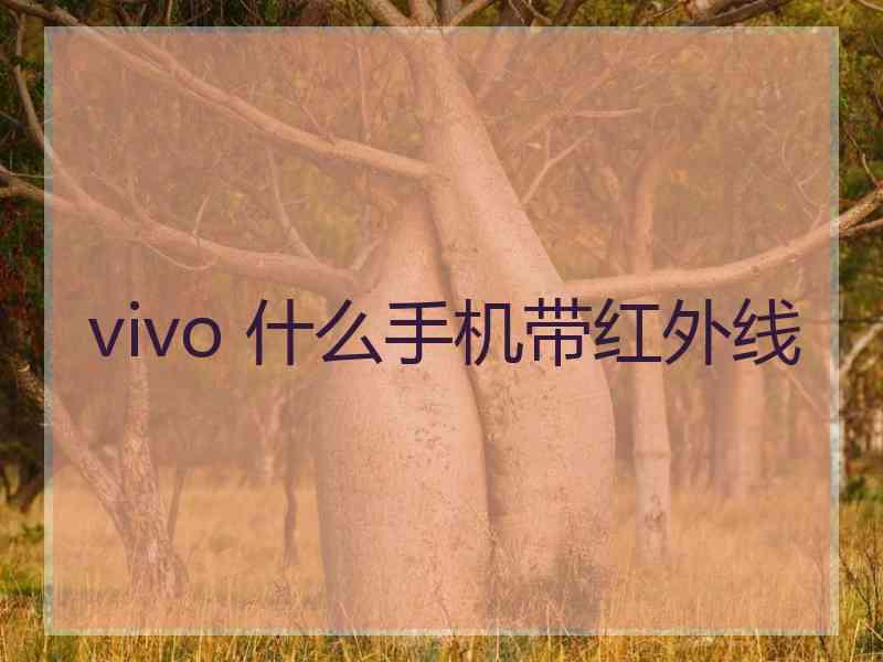 vivo 什么手机带红外线