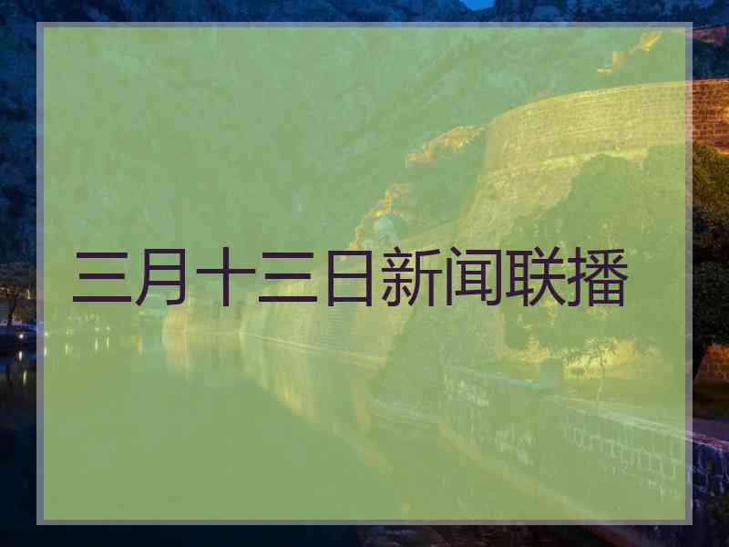 三月十三日新闻联播