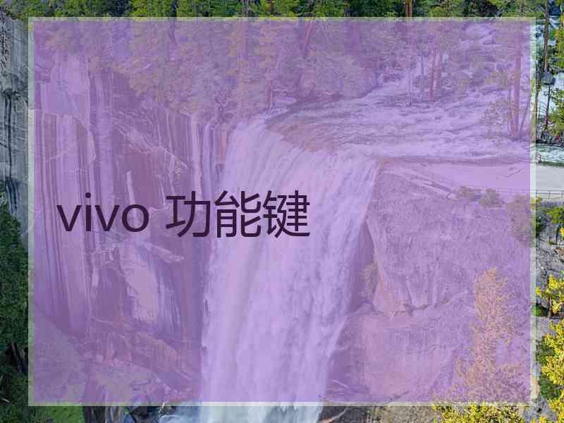 vivo 功能键