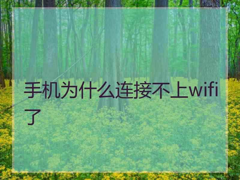 手机为什么连接不上wifi了