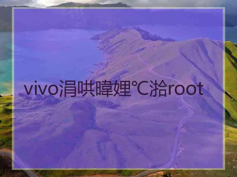 vivo涓哄暐娌℃湁root