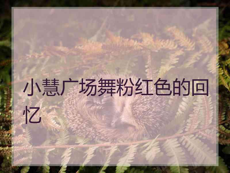 小慧广场舞粉红色的回忆